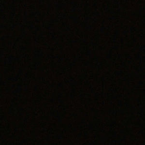 Meet your Posher, Max